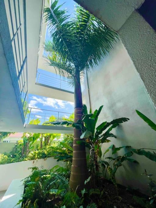 1 Bedroom Apt With Pool In Simpson Bay Koolbaai エクステリア 写真